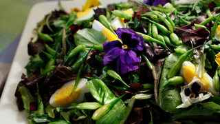 Google embraces inclusivity by making its salad emoji egg-free, "vegan"<em></em>